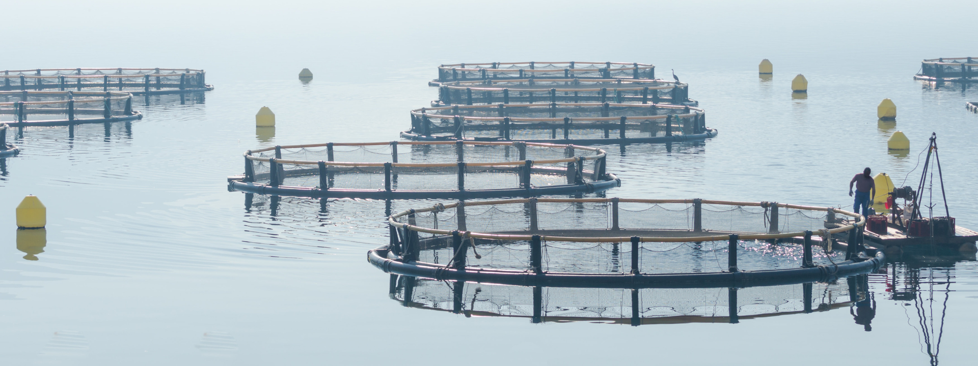 aquaculture-and-fish-farming-banner