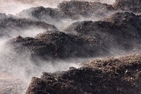 compost_3000x2000px_jpg