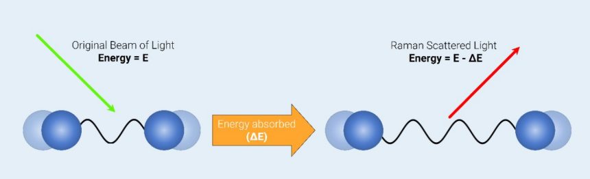 Schéma explicatif du phénomène de diffusion Raman utilisé par Eurofins BioPharma Product Testing. Une flèche verte représentant un faisceau lumineux d’énergie E interagit avec une molécule, absorbant une partie de l’énergie (ΔE), illustrée par une flèche orange. La lumière diffusée, représentée par une flèche rouge, possède une énergie réduite (E - ΔE). Ce visuel illustre le principe fondamental de la spectroscopie Raman appliquée à l’analyse moléculaire.