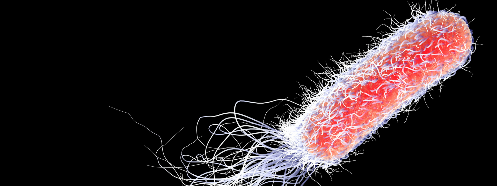 pseudomonas-aeruginosa-testing-banner