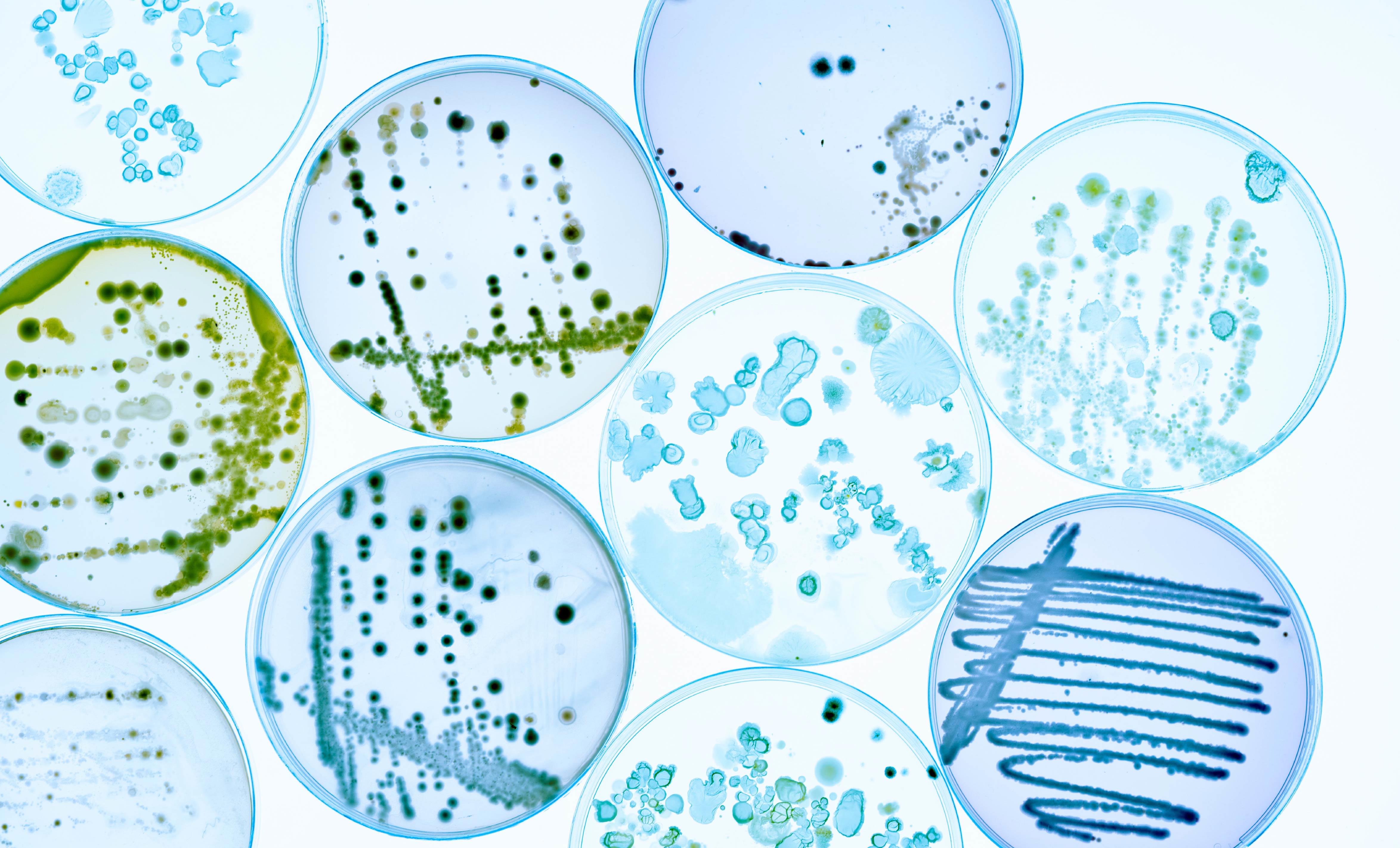eurofins-environnement-france_microbiologie