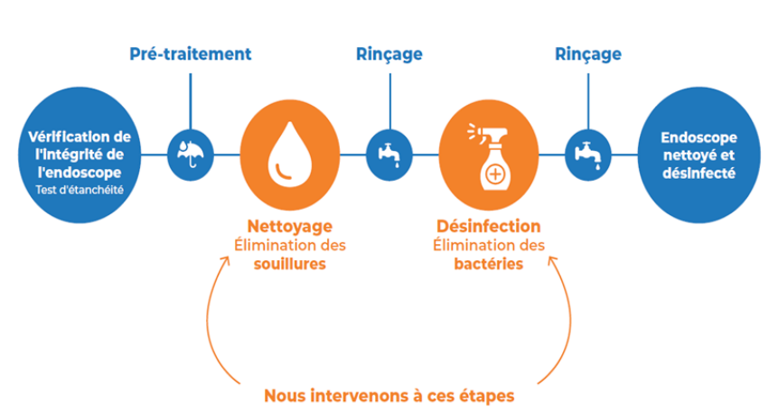 infographie-lde