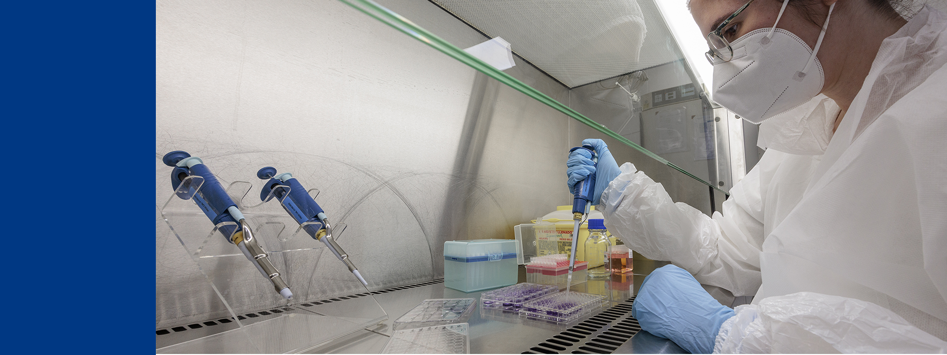 Toxicologie génétique fiable et conforme chez Eurofins Biopharma Product Testing : tests sous hotte stérile, manipulation précise et respect des BPF (cGMP).