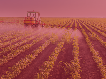 understanding-contaminants-and-pesticides-risks-in-food