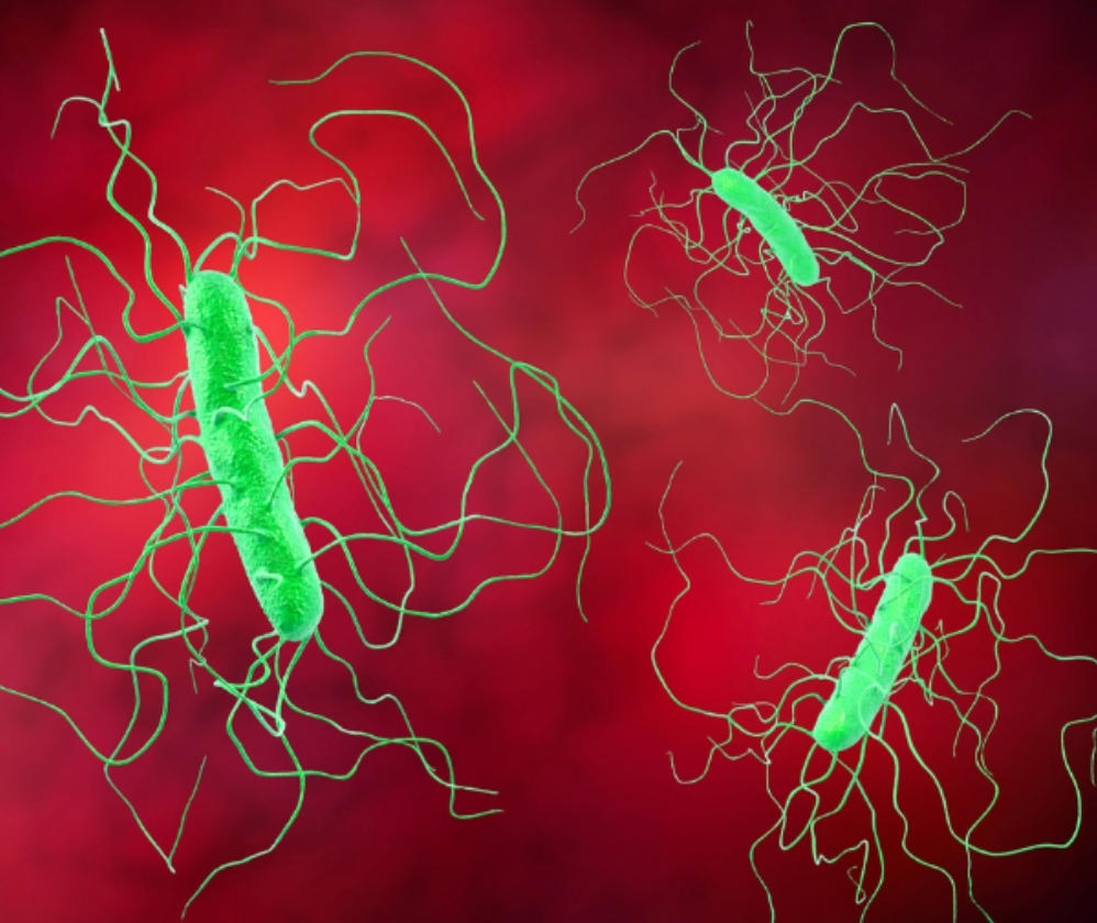 clostridium-difficile-tile