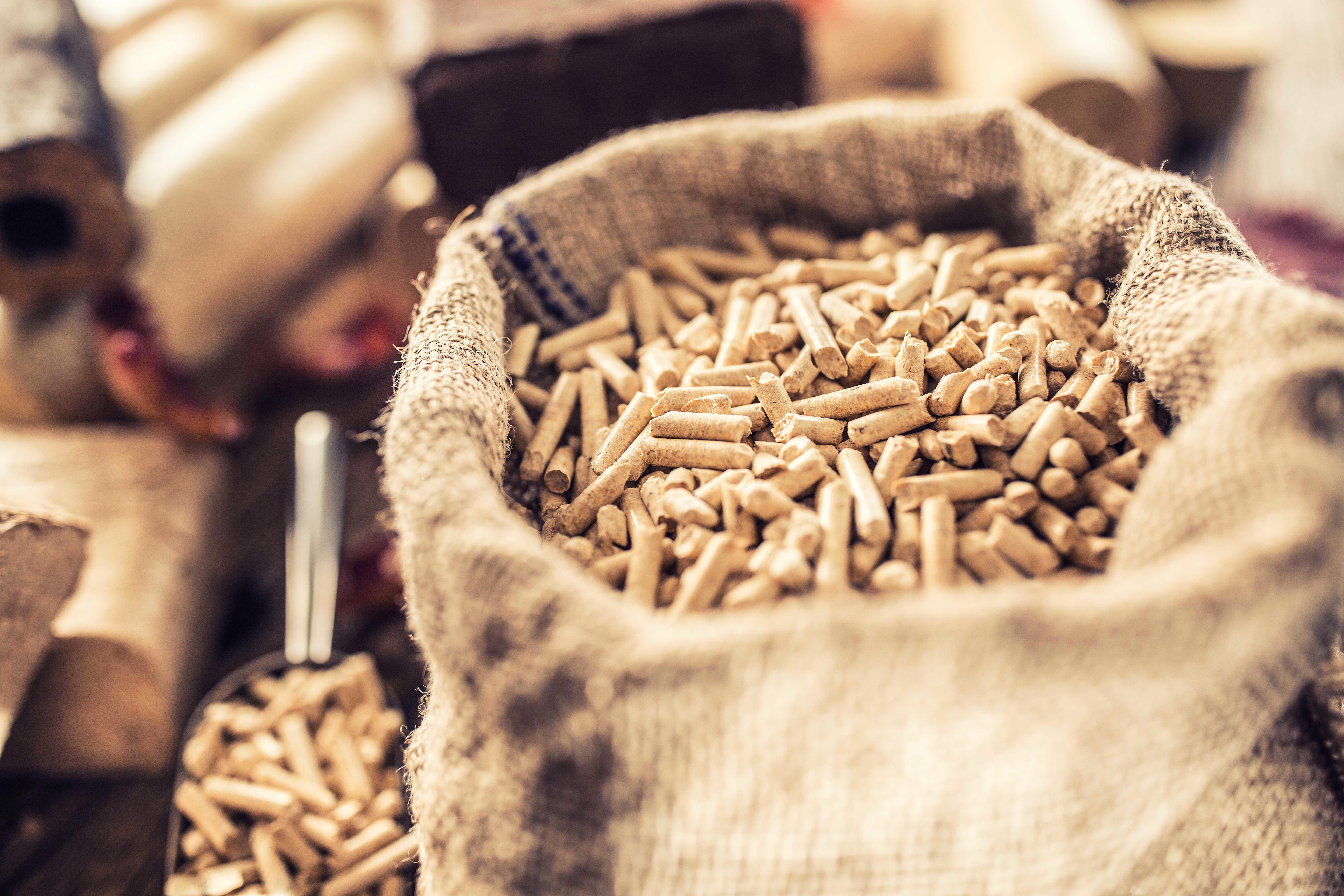 wooden-pressed-pellets-and-briquettes-from-biomass-with-autumn-leaves_9216-x-6144-px