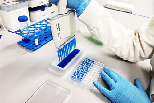 Technicien de laboratoire chez Eurofins utilisant une pipette multicanaux pour distribuer des liquides dans une plaque de 96 puits contenant des solutions bleues. L’environnement de laboratoire comprend des équipements scientifiques et des racks de tubes à essai, illustrant une procédure expérimentale typique en bioanalyse, criblage à haut débit ou tests de stabilité pharmaceutique.
