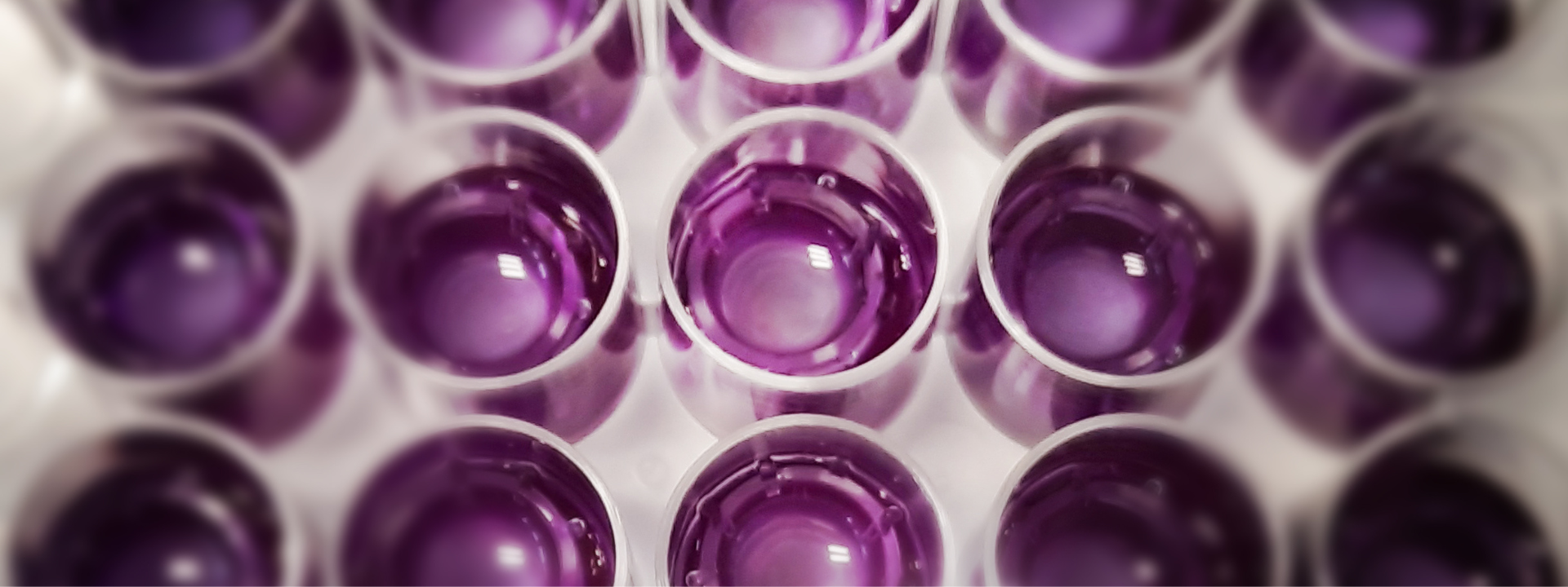 problemsolution-in-vitro