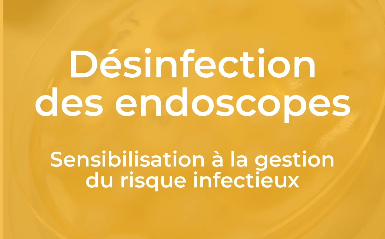 endoscopie_formation_6