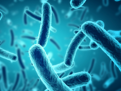 microorganism-focus-training-accordion-tile