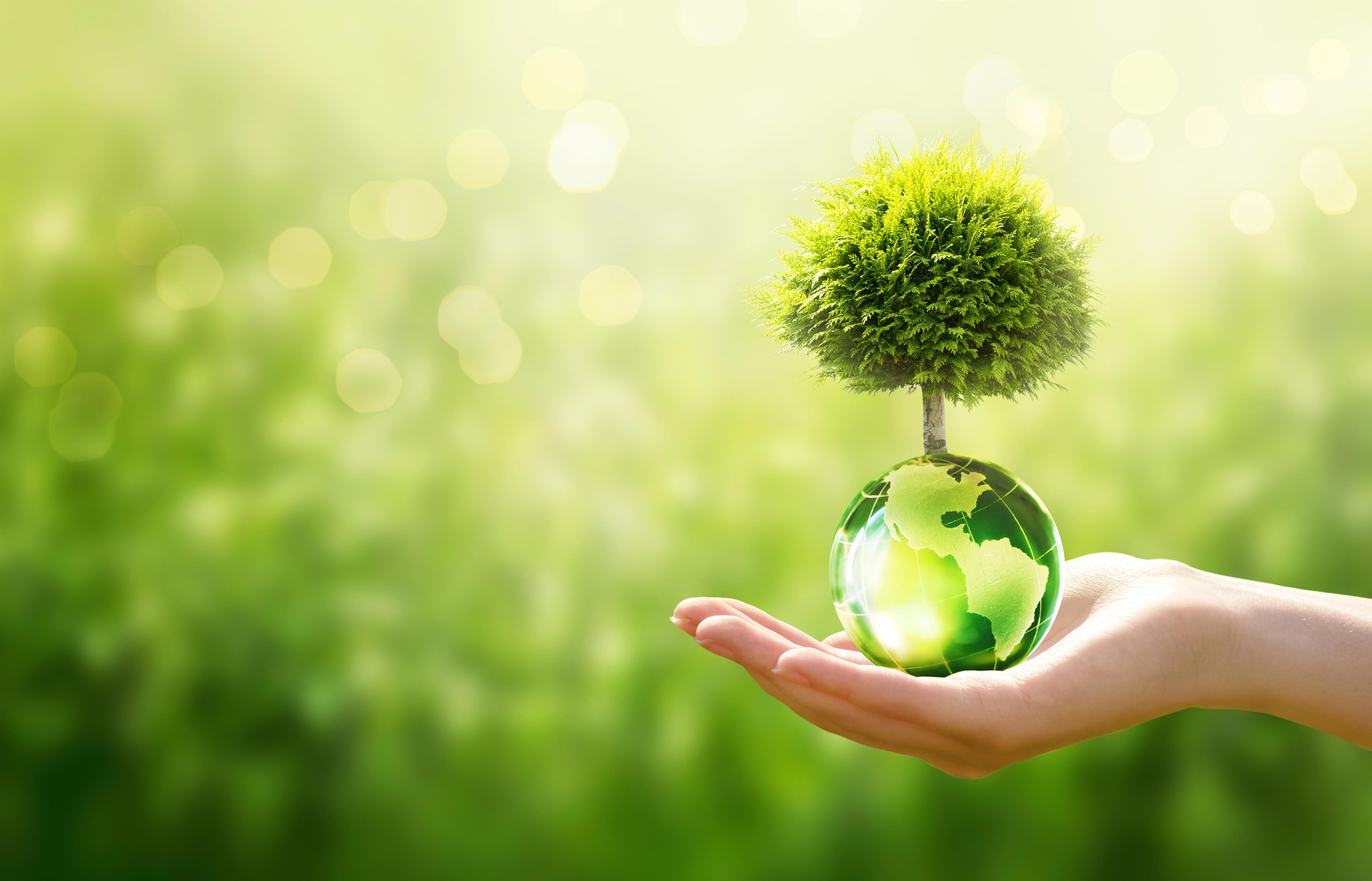 green-product_adobestock_438195569