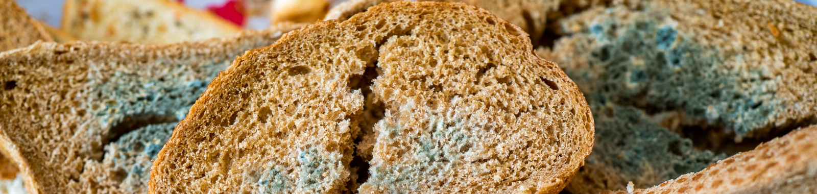 eurofins-fa_banner-website_uk-dry-foods-microbiology_feb-2024-1