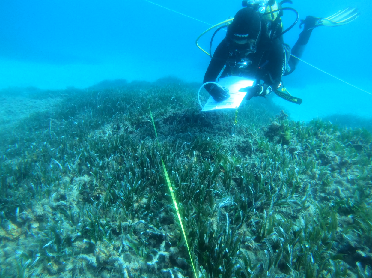 prospeccion-fondos-marinos-eurofins-environment