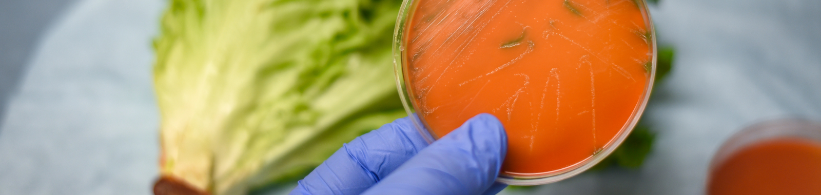 listeria-website