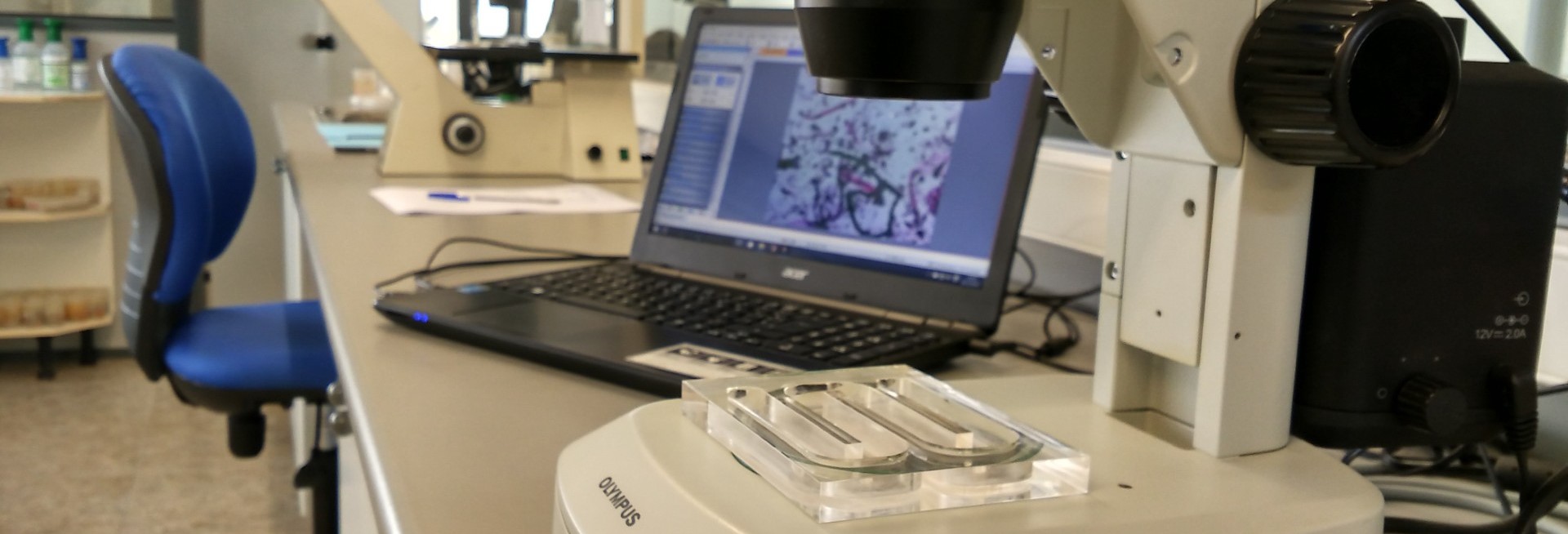 laboratorio-biología-marina (1)