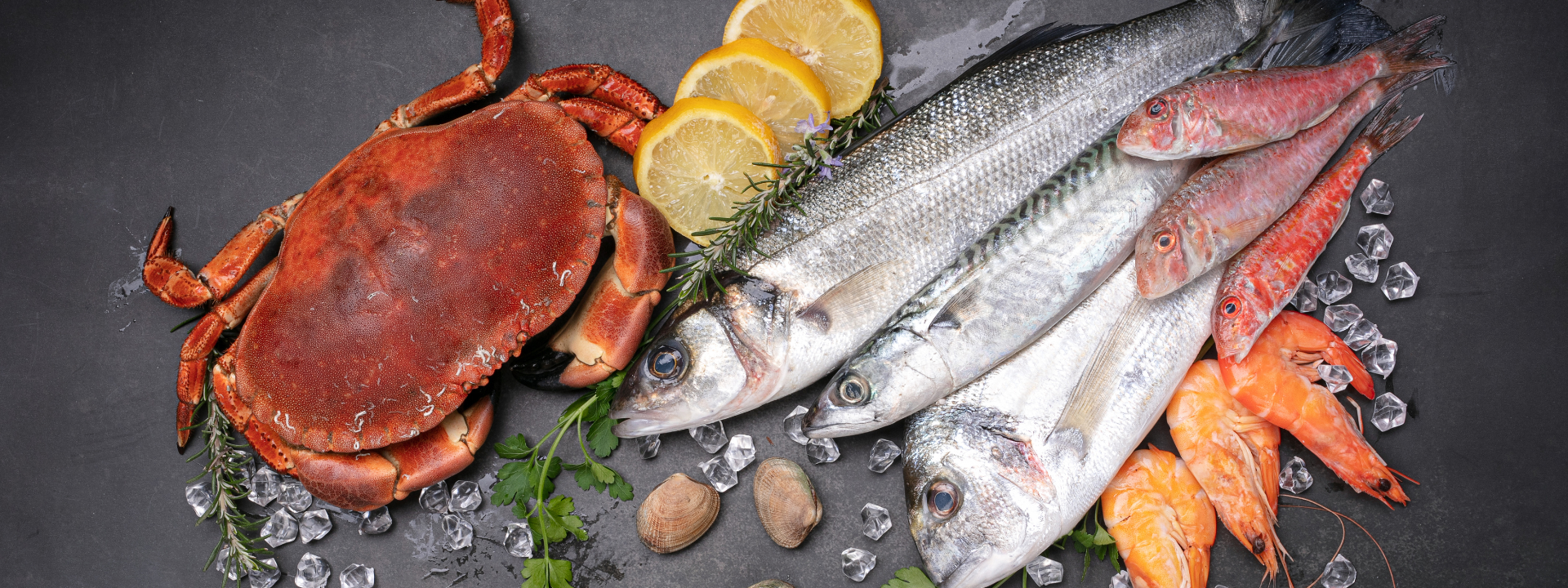 bannière-test-despèces-de-poissons