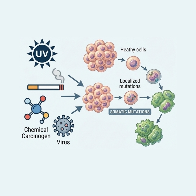 acquired-cancers-tile
