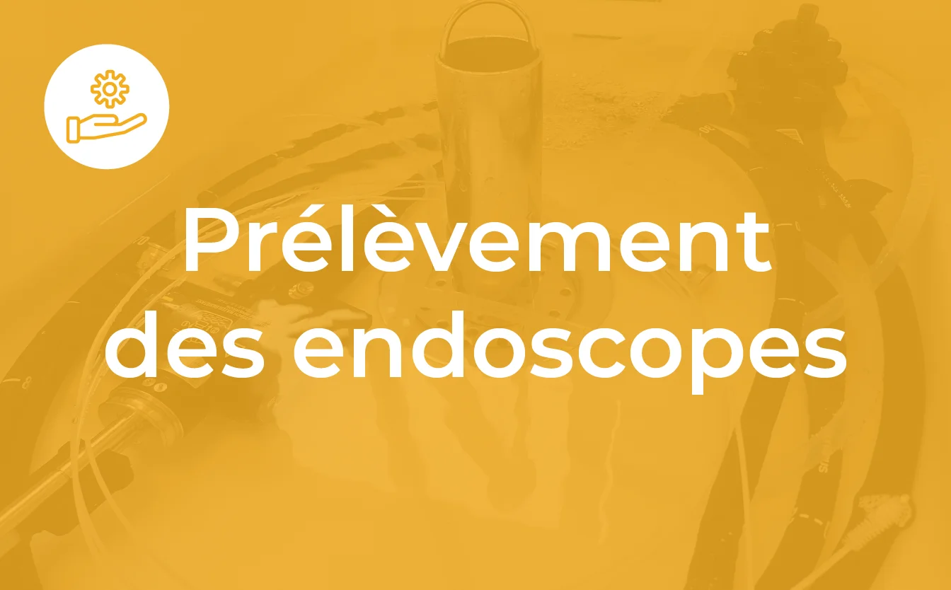 endoscopie_formation_7