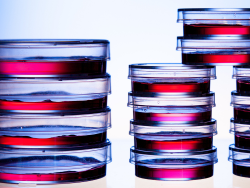 food-microbiology-training-accordion-tile