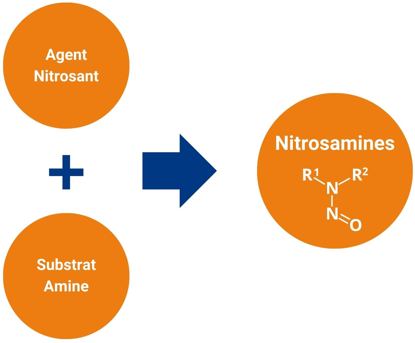Schéma réactionnel illustrant la formation de nitrosamines à partir d’un agent nitrosant et d’un substrat amine. Les réactifs sont représentés par deux cercles orange ("Agent Nitrosant" et "Substrat Amine") reliés par un signe "+" et une flèche bleue menant à un troisième cercle orange, "Nitrosamines", contenant la formule structurale R¹N(R²)N=O. Ce visuel est utilisé par Eurofins BioPharma Product Testing pour sensibiliser aux risques liés à la présence de nitrosamines.