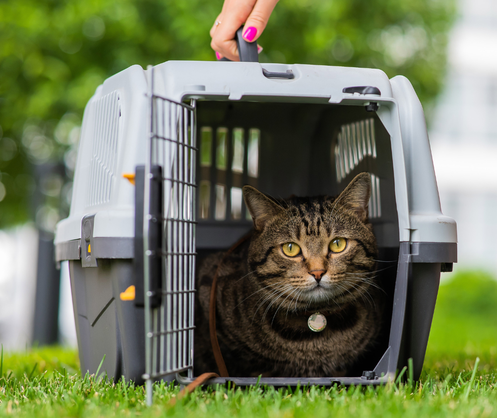 eurofins_softlines_hardlines_pet_product_testing_eurofins