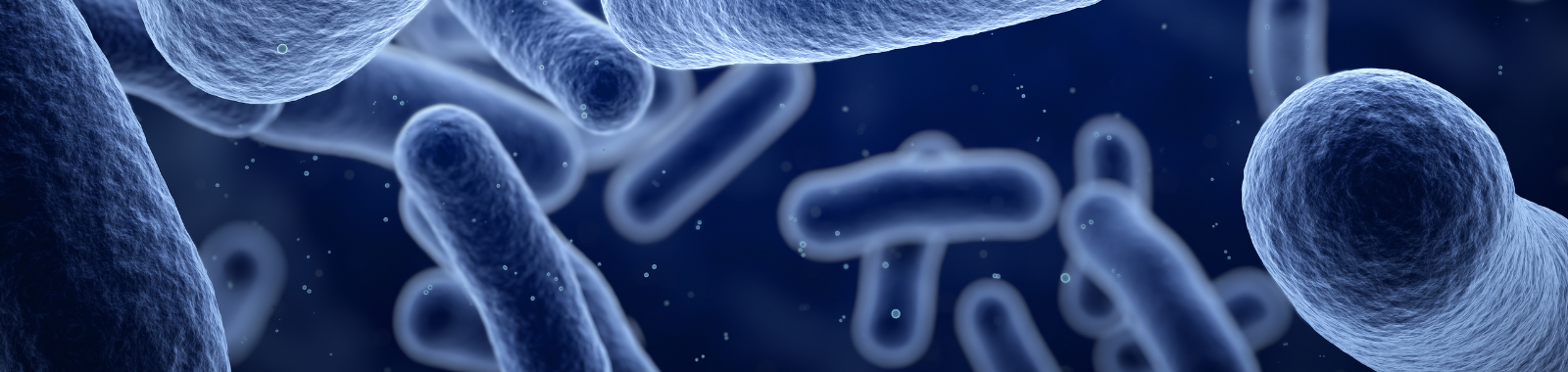 bacteria-uk