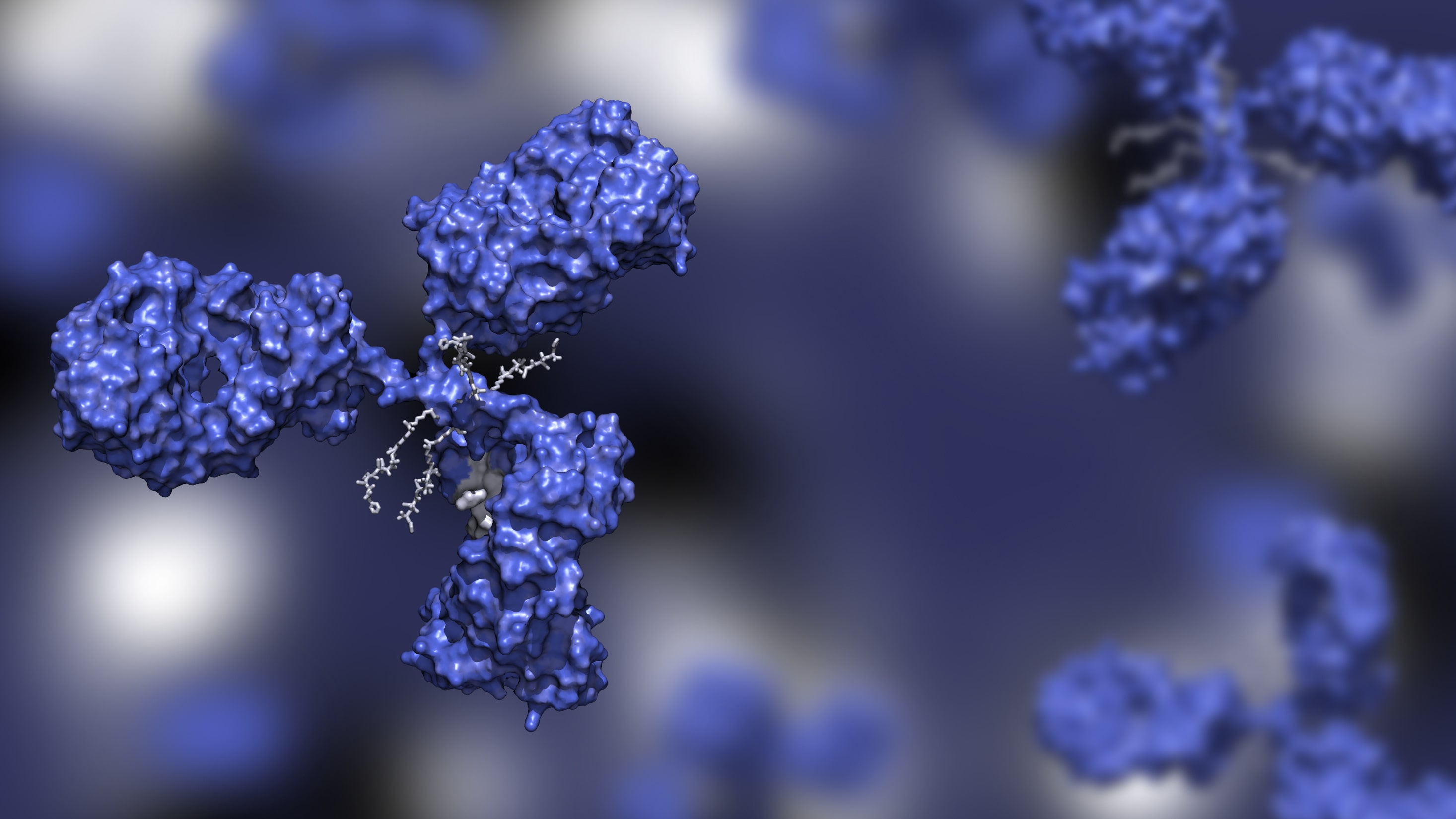 Représentation 3D d’un anticorps monoclonal avec structure en Y, illustrant les sites de liaison aux antigènes. Eurofins BioPharma Product Testing accompagne les laboratoires pharmaceutiques dans le développement, la caractérisation et le contrôle qualité des ADC (Antibody Drug Conjugates), en garantissant la conformité réglementaire et la performance analytique des biothérapies ciblées.