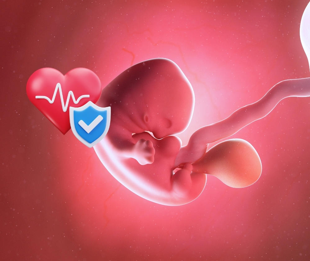 fetal-health-assessment
