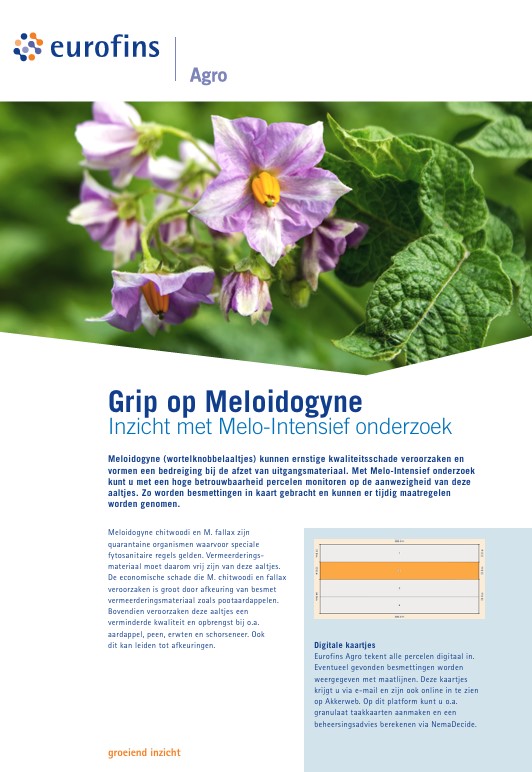 grip-op-melodogyne