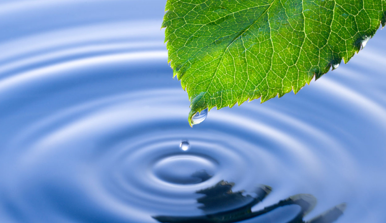 menu-polluants-organiques-persistants