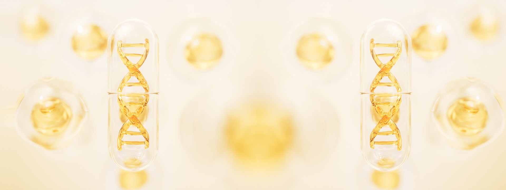 rest-dna-gmmo_banner_1920x720px