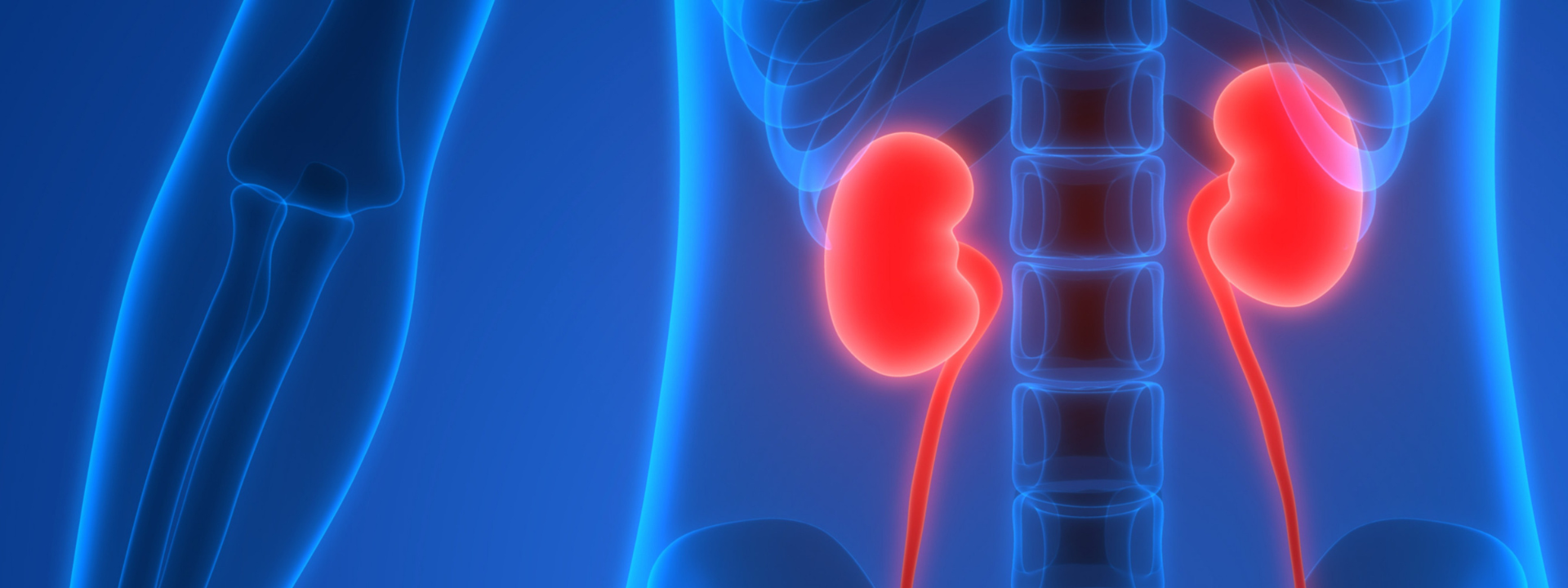 renal-purified-waters-banner
