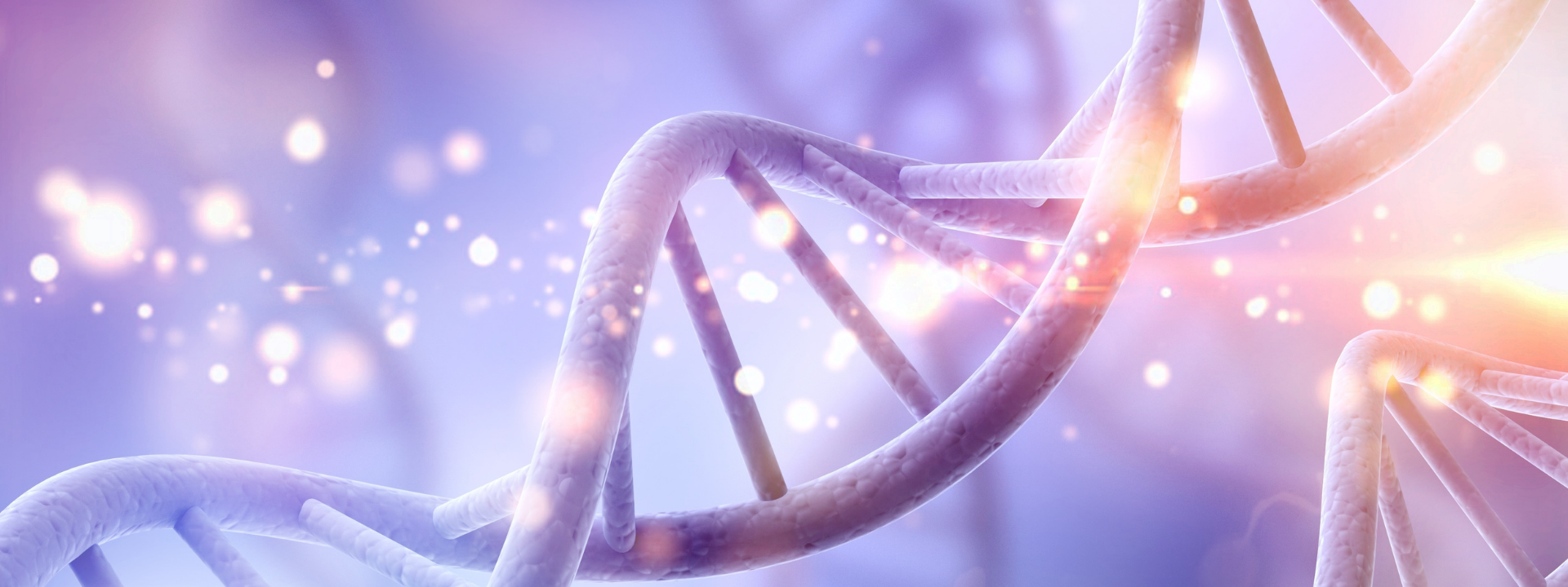dna-slider-banner