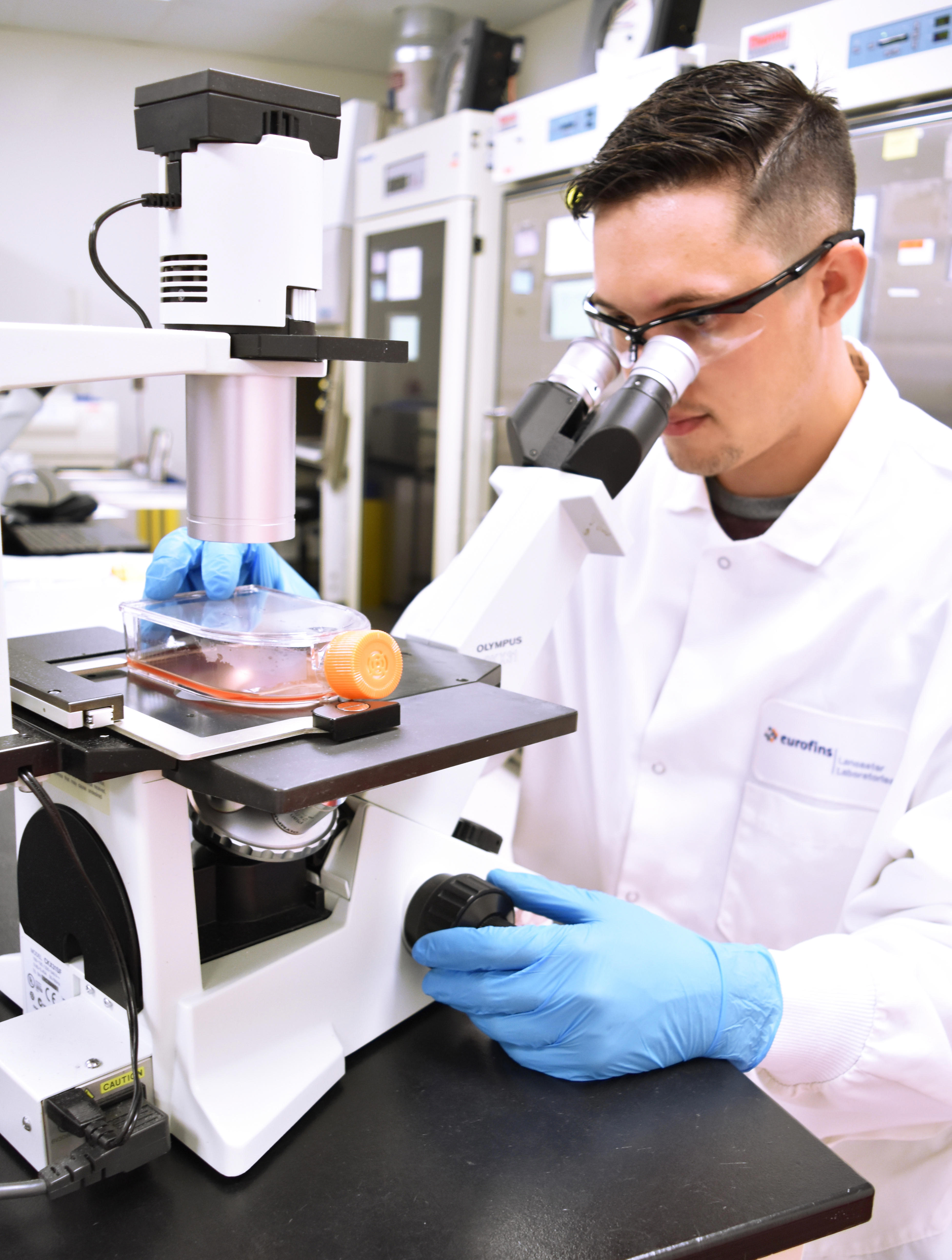 vs-observing-cells-with-a-microscope