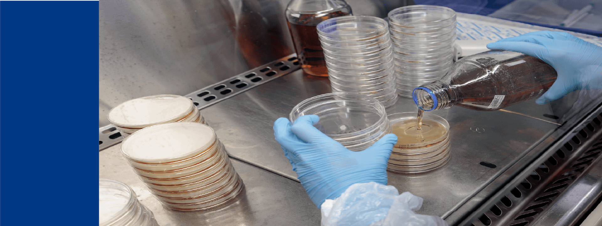 Manipulation de boîtes de Petri dans une enceinte de sécurité par un technicien de laboratoire Eurofins Biopharma Product Testing. L’image montre des gants de protection versant un liquide nutritif dans des boîtes de Petri empilées, avec des flacons de réactifs et un environnement stérile adapté aux analyses microbiologiques.