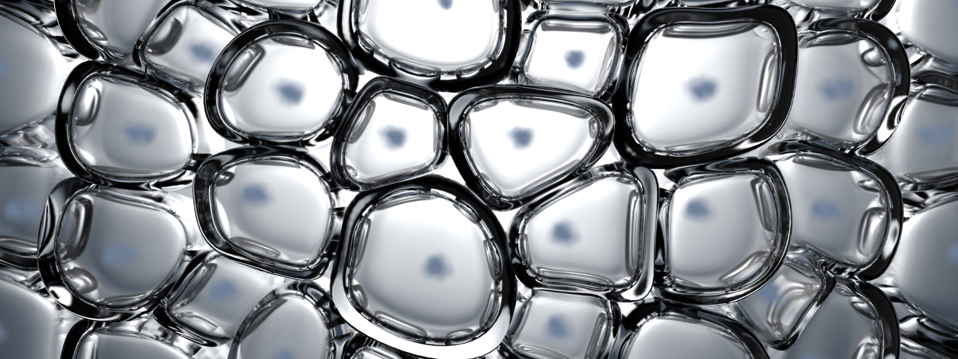service-overview-in-vitro