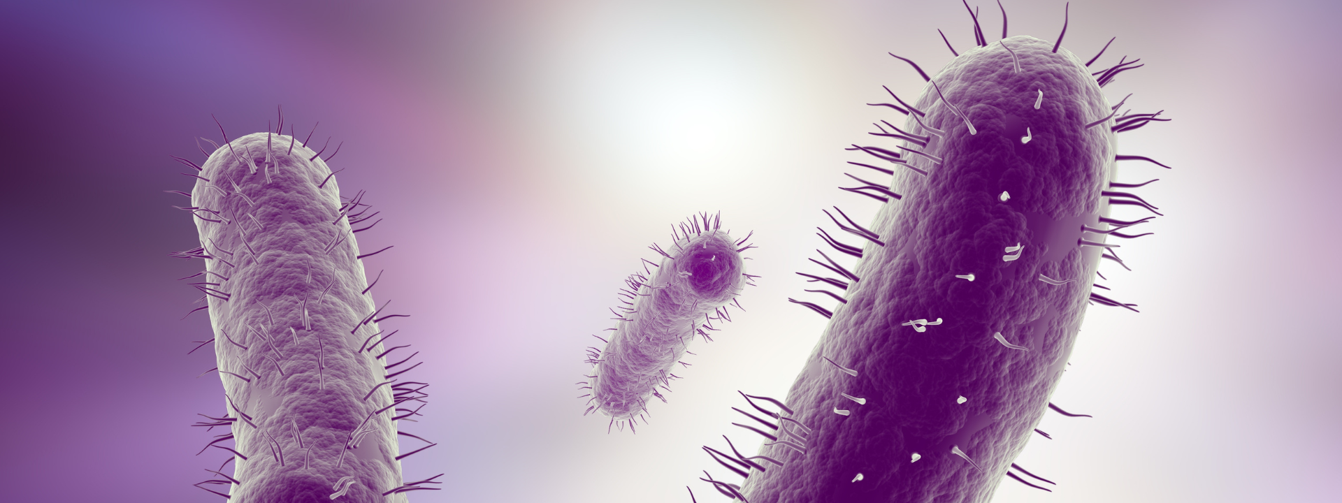 total-coliform-testing-banner