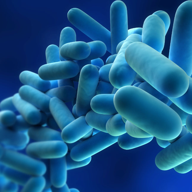 legionella-horizontal-image