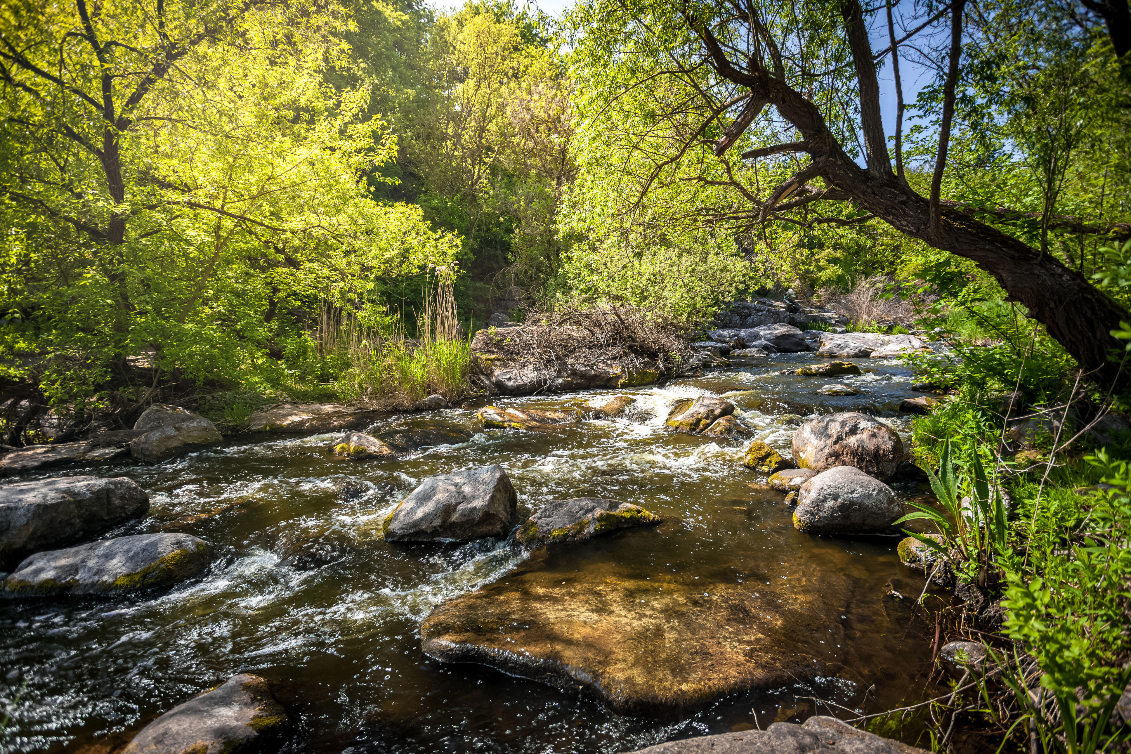 beau-paysage-de-riviere-de-montagne-au-jour-ensoleille