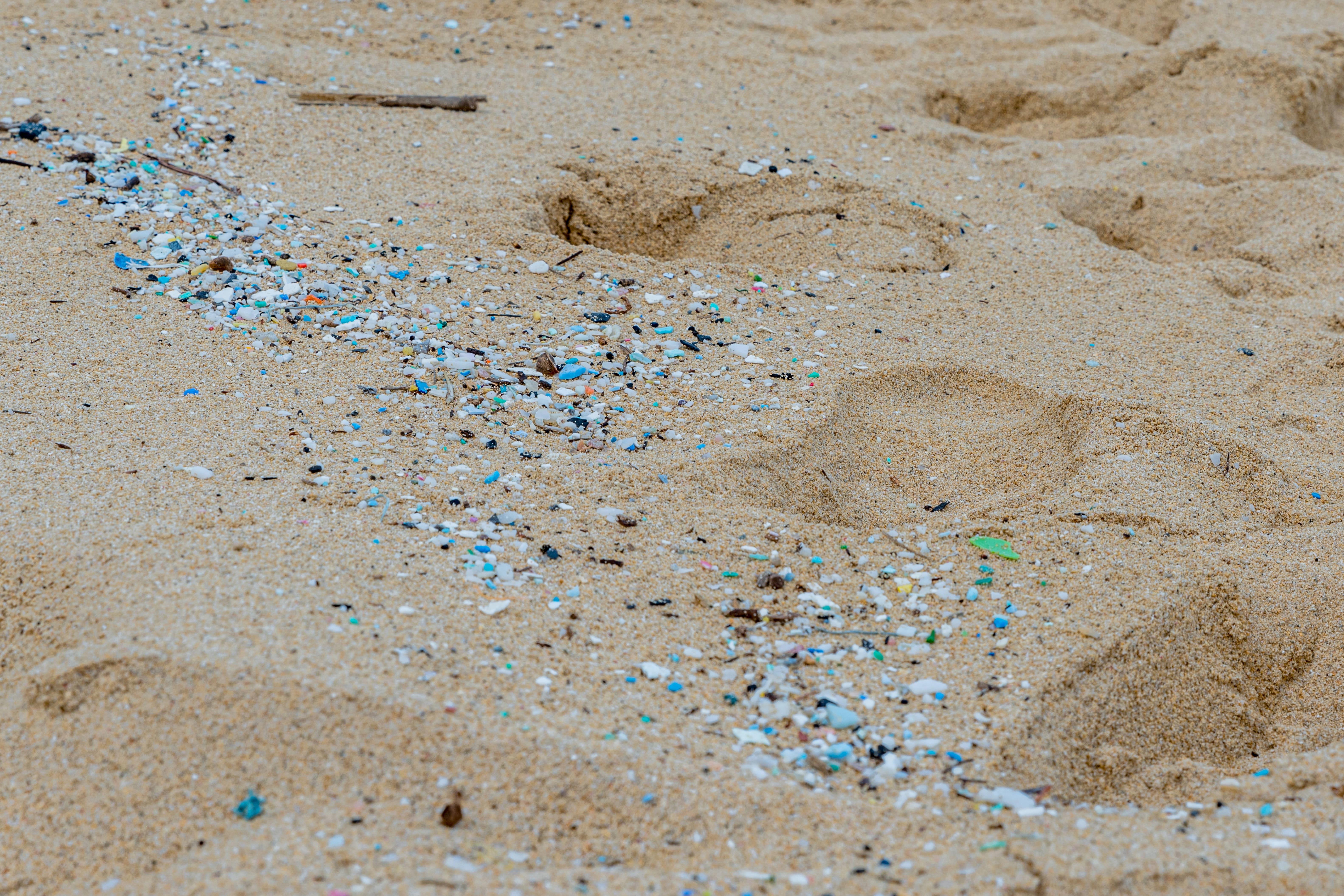 microplastic-pollution-littering-waimanalo-beach-in-hawaii_6331-x-4221-px-1 (2)