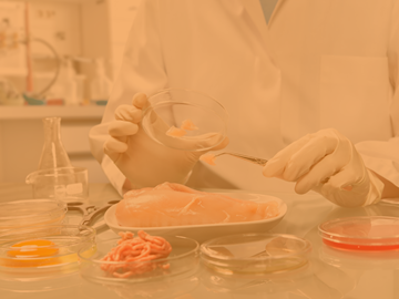 identifying-food-safety-hazards-and-managing-control