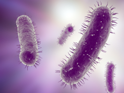 total-coliform-testing-accordion-tile