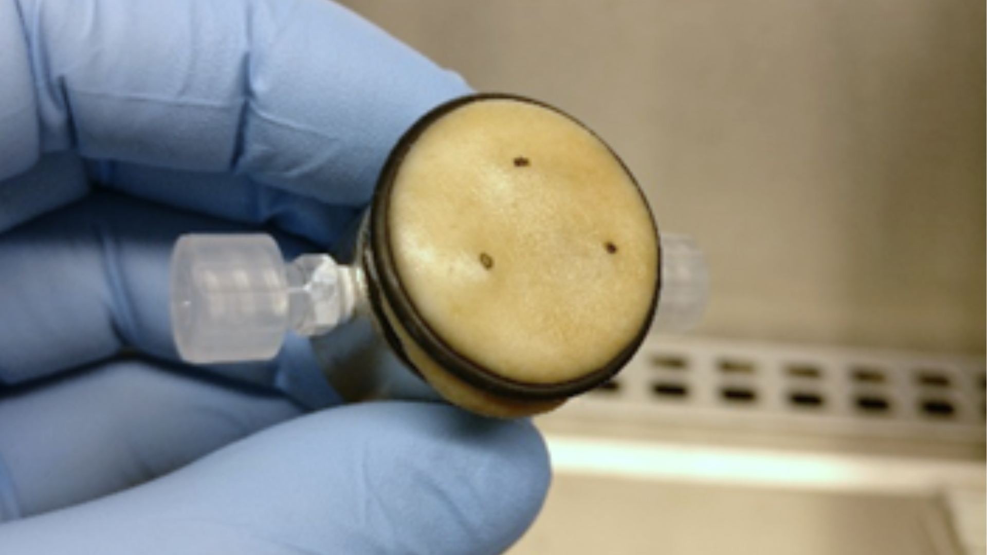 industry-solutions-md-in-house-facilities