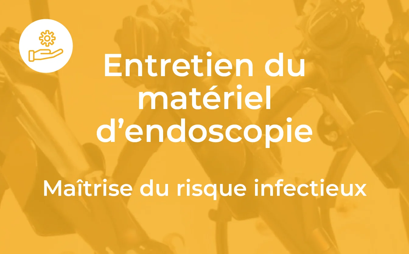 endoscopie_formation_3 (1)