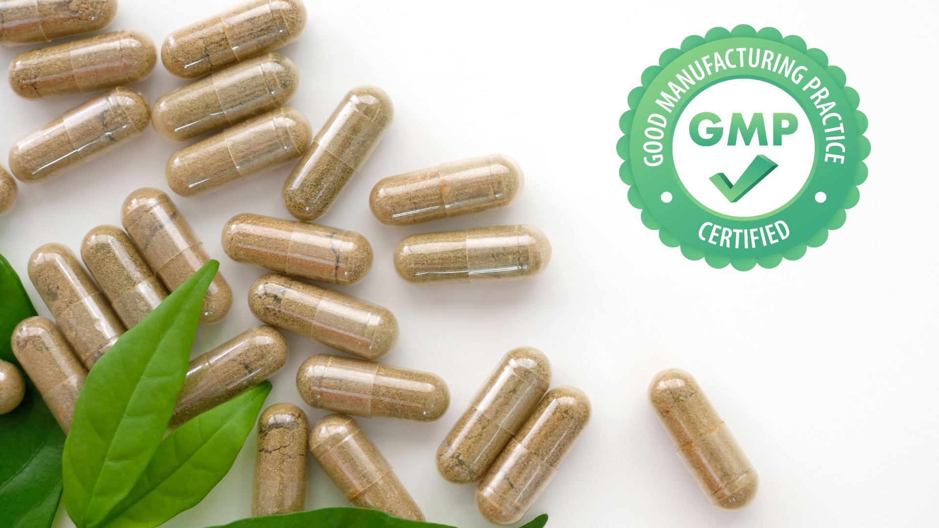 industry-solutions-nutraceuticals-dietary-supplements-gmp-process-certification