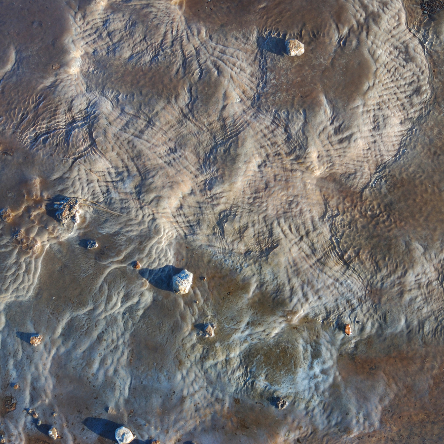 sediment