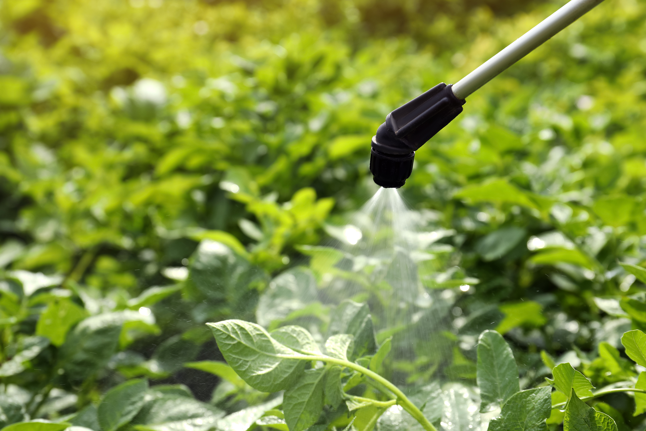 pesticides