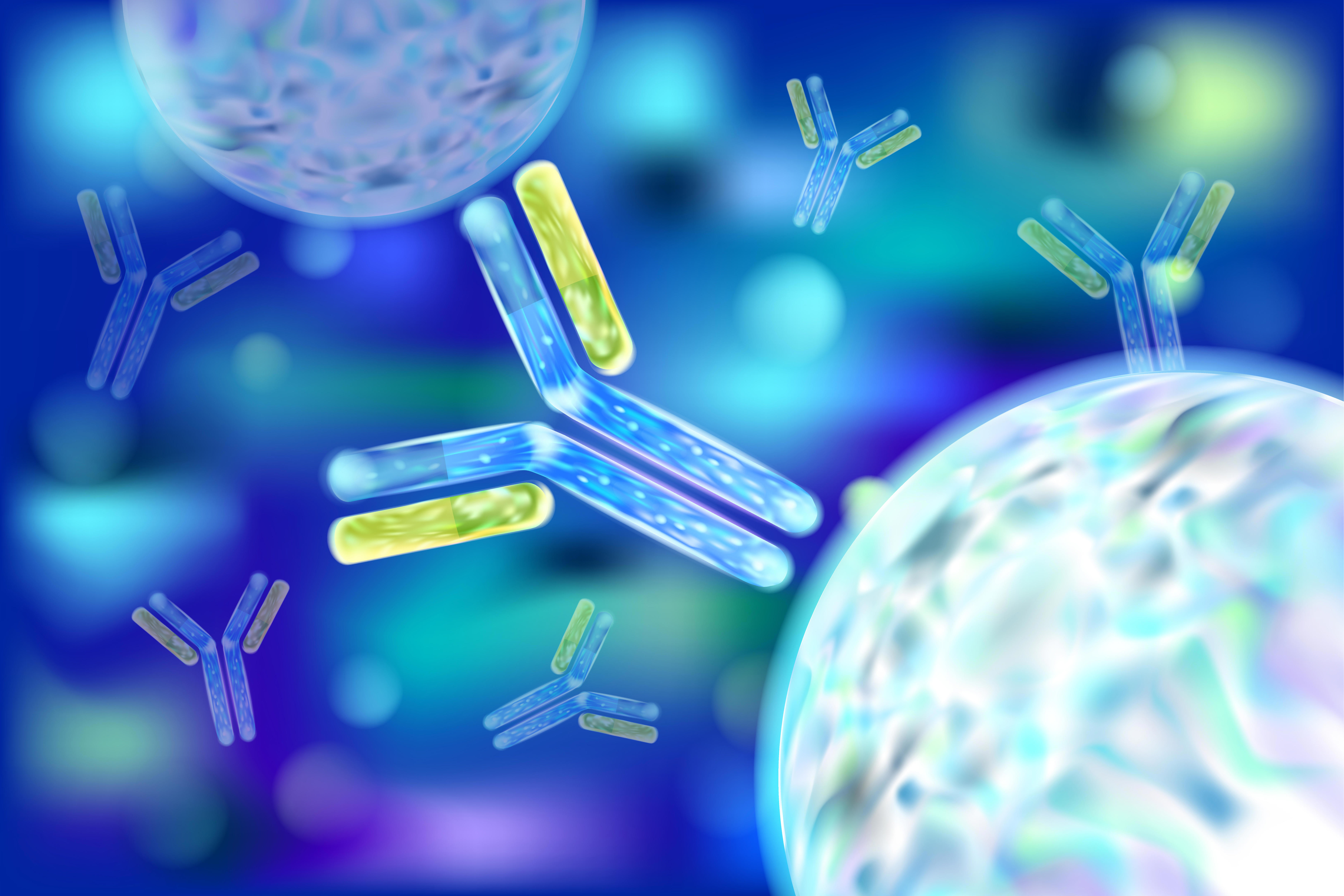 Eurofins Bioanalytical Services : visualisation de l’interaction anticorps-antigène, illustrant les tests ELISA, PK, ADA et biomarqueurs réalisés dans le cadre du développement biopharmaceutique.