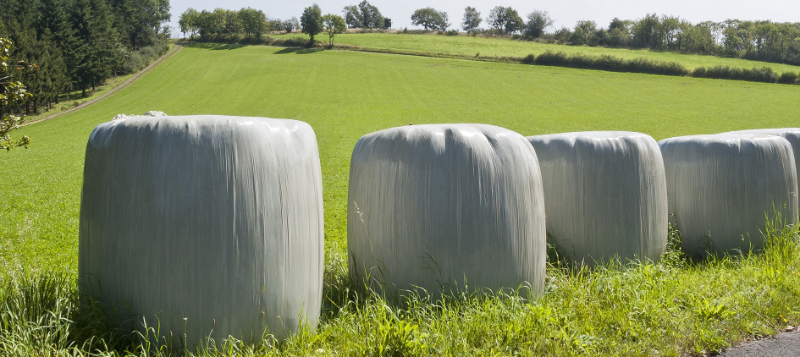 kuilbalen800x357