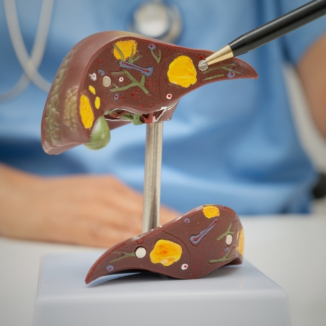 liver-tile